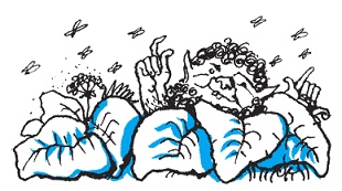 Иллюстрация к книге — Подарки фей [pic_22.jpg]