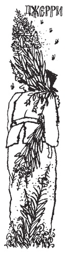 Иллюстрация к книге — Подарки фей [pic_58.jpg]