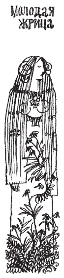 Иллюстрация к книге — Подарки фей [pic_85.jpg]