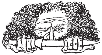 Иллюстрация к книге — Подарки фей [pic_86.jpg]