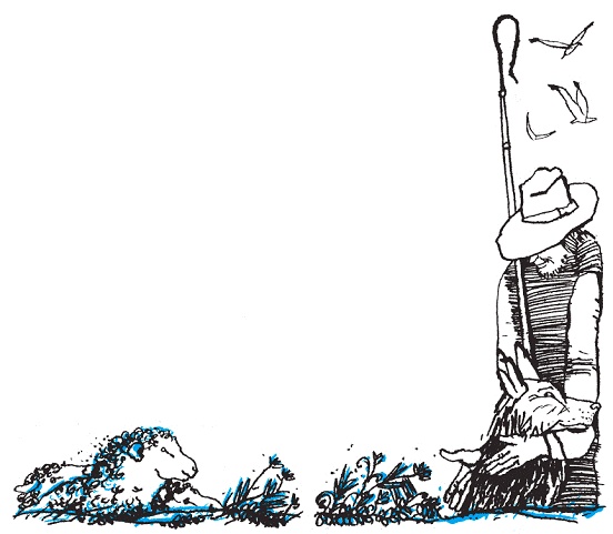 Иллюстрация к книге — Подарки фей [pic_88.jpg]