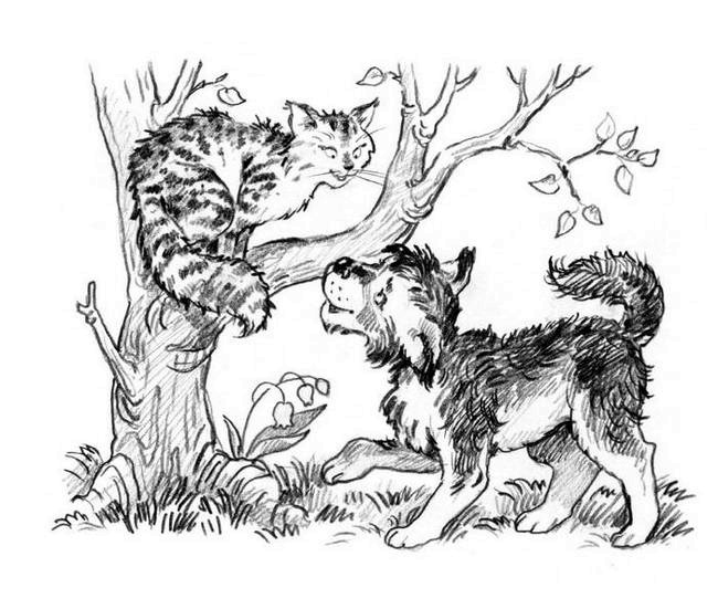 Иллюстрация к книге — О пушистых кошечках [i_005.jpg]