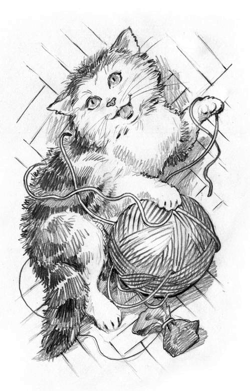 Иллюстрация к книге — О пушистых кошечках [i_017.jpg]