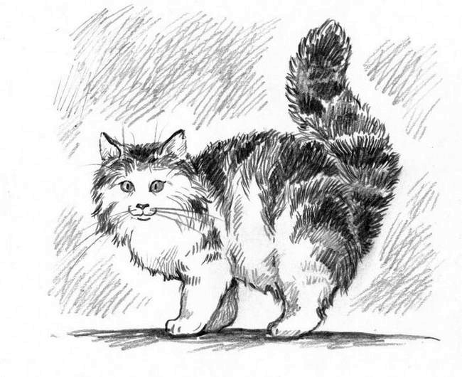 Иллюстрация к книге — О пушистых кошечках [i_018.jpg]