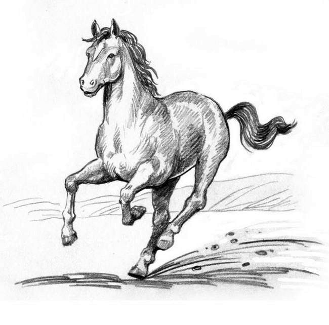 Иллюстрация к книге — О пушистых кошечках [i_020.jpg]