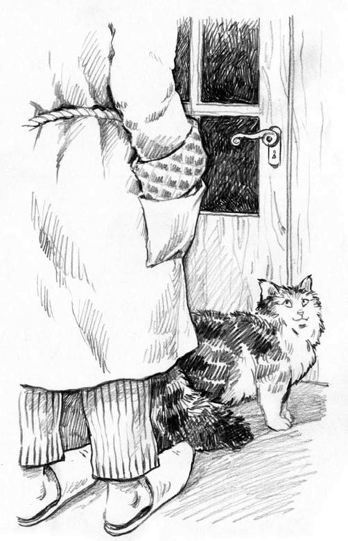 Иллюстрация к книге — О пушистых кошечках [i_022.jpg]