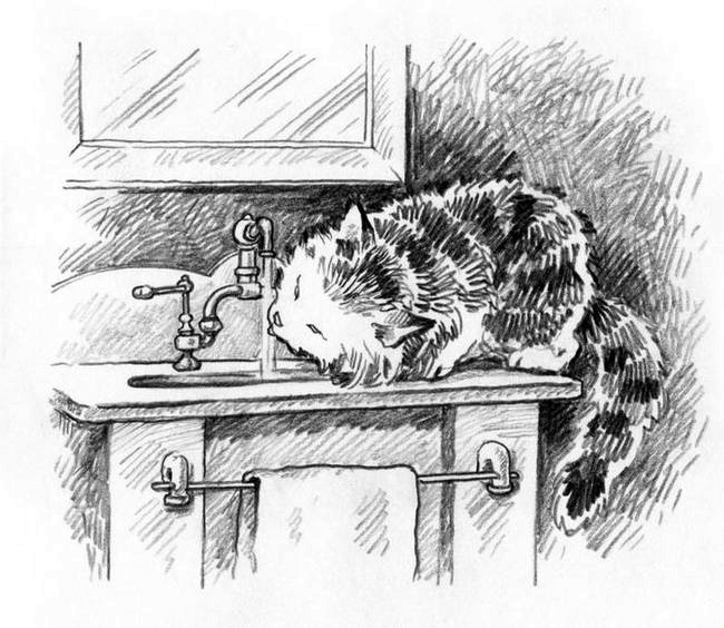 Иллюстрация к книге — О пушистых кошечках [i_024.jpg]