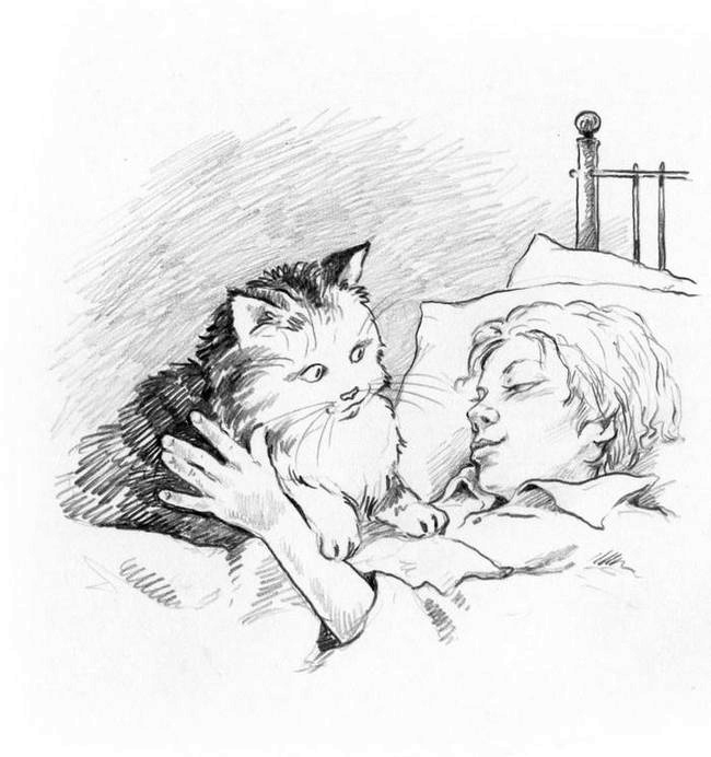 Иллюстрация к книге — О пушистых кошечках [i_027.jpg]