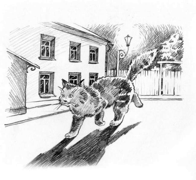 Иллюстрация к книге — О пушистых кошечках [i_028.jpg]