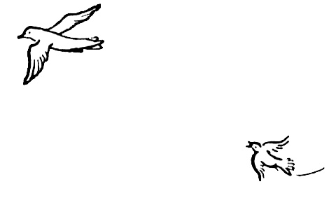 Иллюстрация к книге — Львиный мальчик [i_001.jpg]