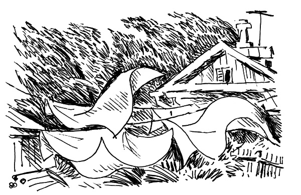 Иллюстрация к книге — Та сторона, где ветер [i_045.jpg]