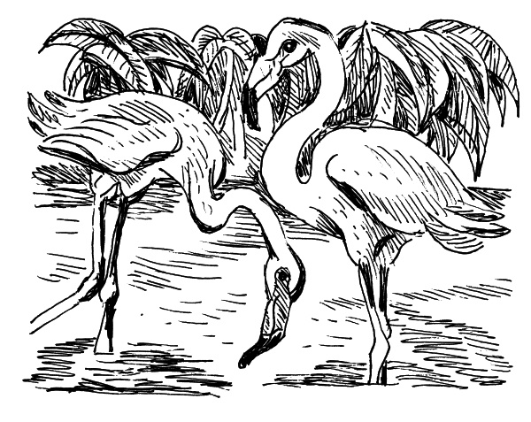 Иллюстрация к книге — Та сторона, где ветер [i_048.jpg]