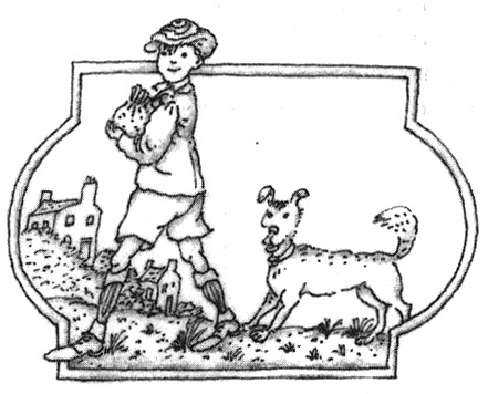 Иллюстрация к книге — Этот Вильям! [i_005.jpg]