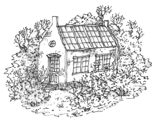 Иллюстрация к книге — Этот Вильям! [i_020.jpg]