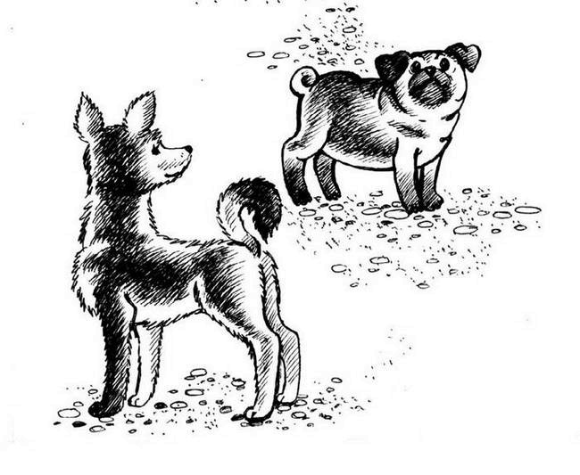Иллюстрация к книге — О весёлых собачках (сборник) [i_001.jpg]