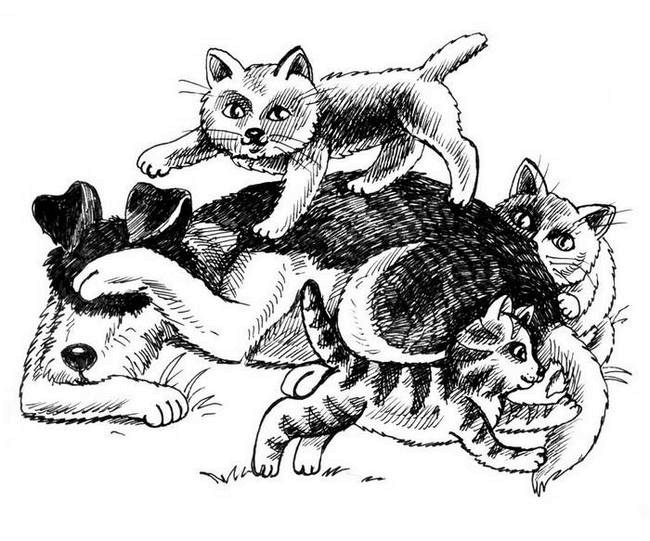 Иллюстрация к книге — О весёлых собачках (сборник) [i_010.jpg]