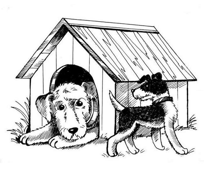 Иллюстрация к книге — О весёлых собачках (сборник) [i_013.jpg]