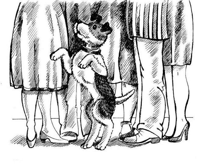 Иллюстрация к книге — О весёлых собачках (сборник) [i_015.jpg]