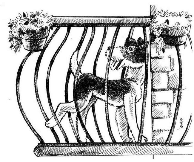 Иллюстрация к книге — О весёлых собачках (сборник) [i_017.jpg]