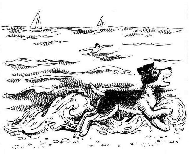 Иллюстрация к книге — О весёлых собачках (сборник) [i_019.jpg]