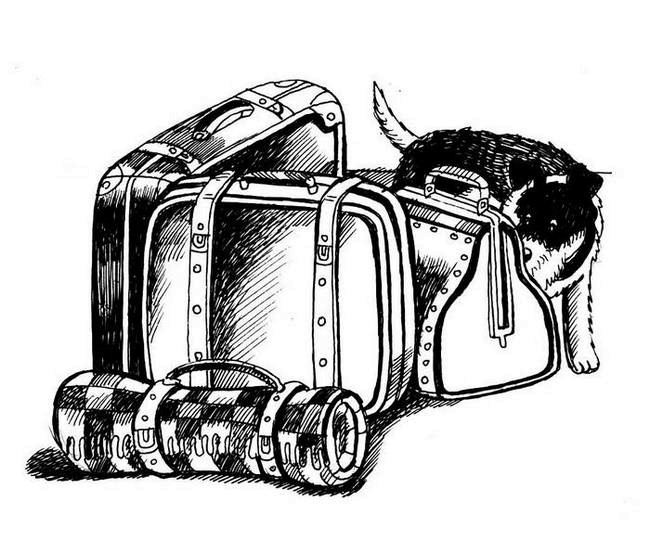 Иллюстрация к книге — О весёлых собачках (сборник) [i_026.jpg]