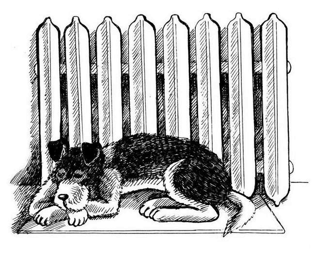 Иллюстрация к книге — О весёлых собачках (сборник) [i_027.jpg]