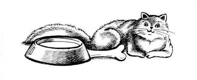 Иллюстрация к книге — О весёлых собачках (сборник) [i_029.jpg]