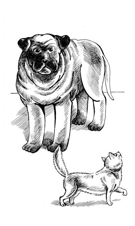 Иллюстрация к книге — О весёлых собачках (сборник) [i_030.jpg]