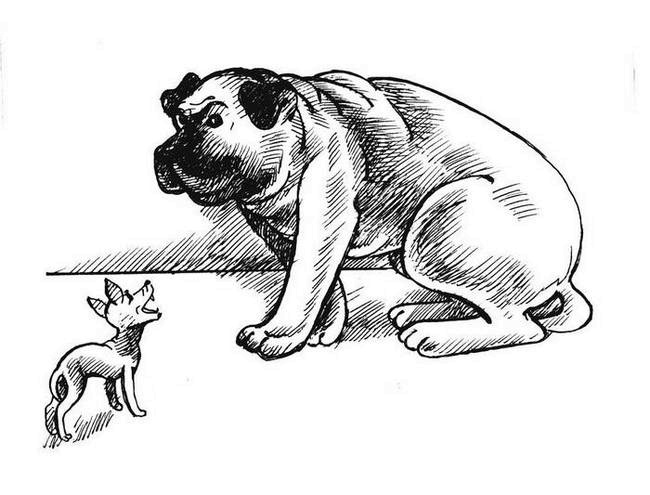 Иллюстрация к книге — О весёлых собачках (сборник) [i_031.jpg]