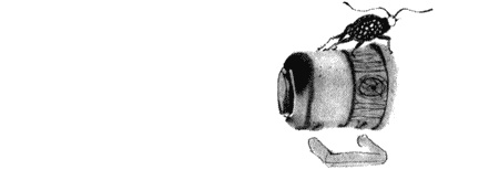 Иллюстрация к книге — Выдуманный жучок [img16.jpg]