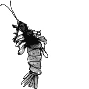 Иллюстрация к книге — Помощница ангела [img03.jpg]