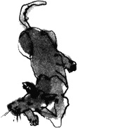 Иллюстрация к книге — Помощница ангела [img07.jpg]