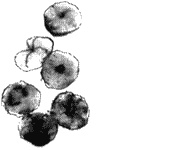 Иллюстрация к книге — Помощница ангела [img67.jpg]