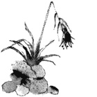 Иллюстрация к книге — Помощница ангела [img70.jpg]