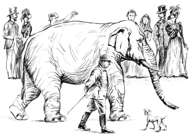 Иллюстрация к книге — Белый пудель [i_003.jpg]