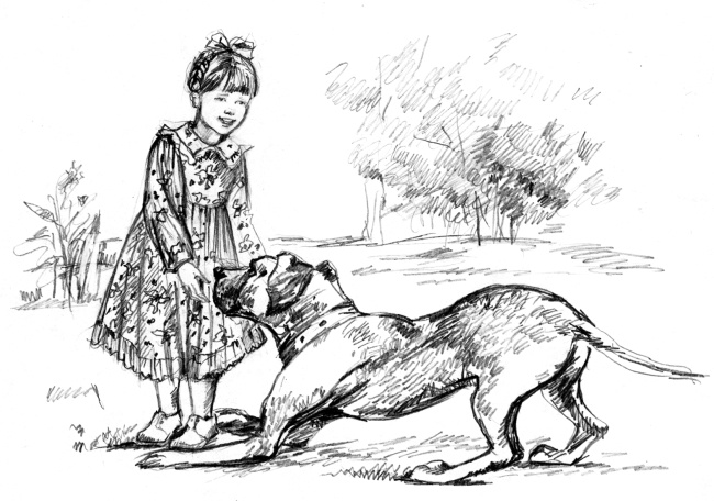 Иллюстрация к книге — Белый пудель [i_010.jpg]