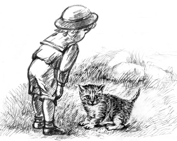 Иллюстрация к книге — Белый пудель [i_016.jpg]