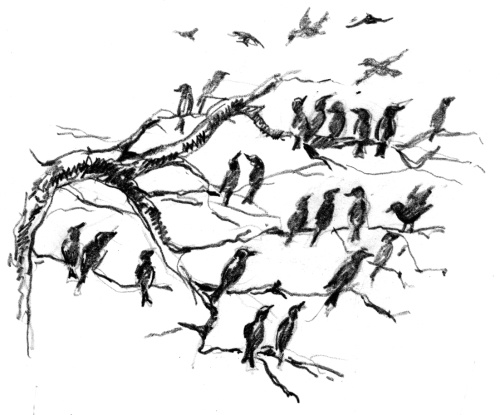 Иллюстрация к книге — Белый пудель [i_020.jpg]