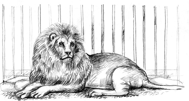 Иллюстрация к книге — Белый пудель [i_021.jpg]