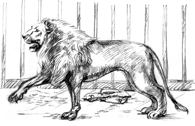 Иллюстрация к книге — Белый пудель [i_022.jpg]