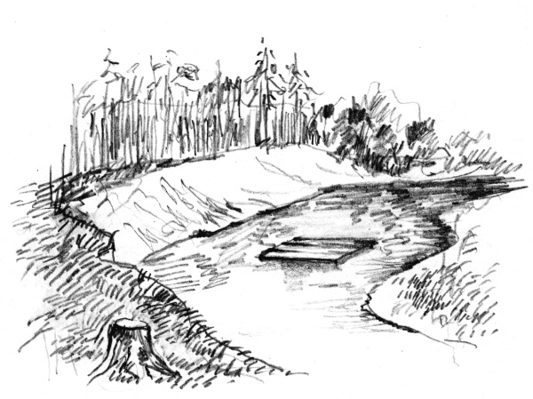 Иллюстрация к книге — Белый пудель [i_034.jpg]