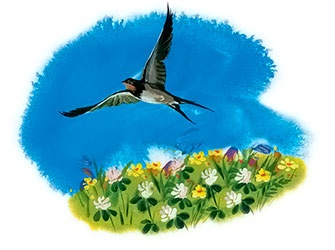 Иллюстрация к книге — Мио, мой Мио! [i_001.jpg]