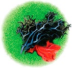 Иллюстрация к книге — Мио, мой Мио! [i_024.jpg]