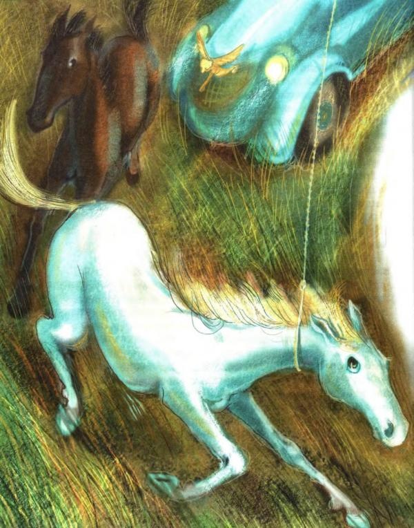 Иллюстрация к книге — Бабушка на яблоне [i_003.jpg]