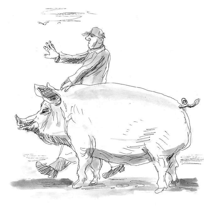 Иллюстрация к книге — Загогулина [i_015.jpg]