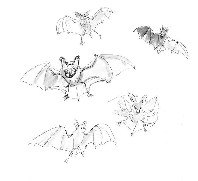 Иллюстрация к книге — Загогулина [i_046.jpg]