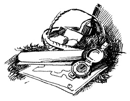 Иллюстрация к книге — Мандариновые острова [i_005.jpg]