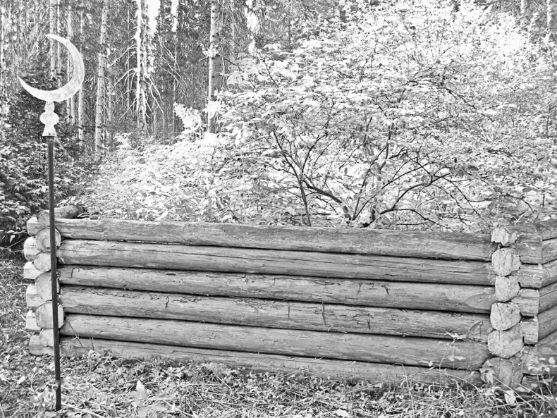 Иллюстрация к книге — Дебри [i_024.jpg]