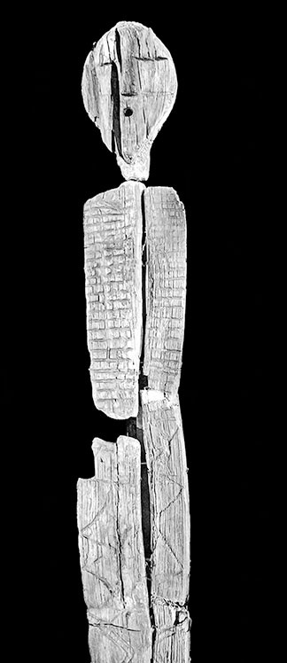 Иллюстрация к книге — Дебри [i_081.jpg]