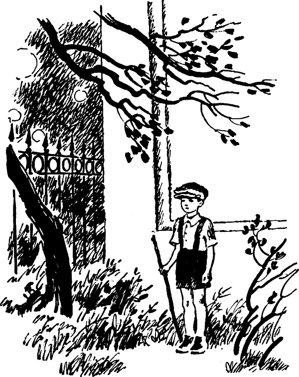 Иллюстрация к книге — Честное слово (сборник) [i_009.jpg]